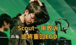 知名爆料博主被杀视频大全,视频大全背后的惊悚真相